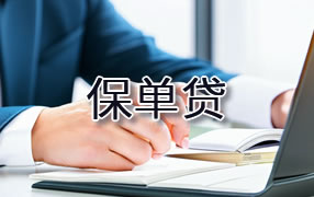 博尔塔拉保单贷